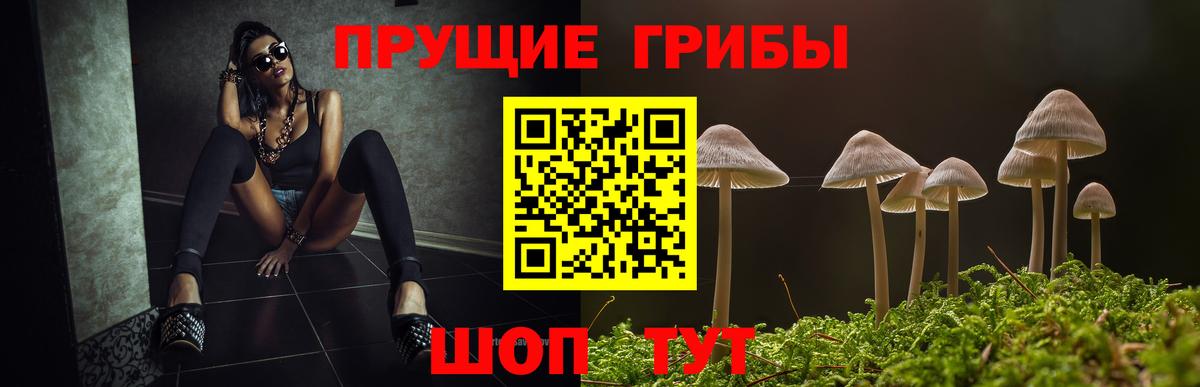 Дзержинск  Псилоцибиновые грибы Cubensis  Галлюциногенные грибы GOLDEN TEACHER  Вход с VPN 